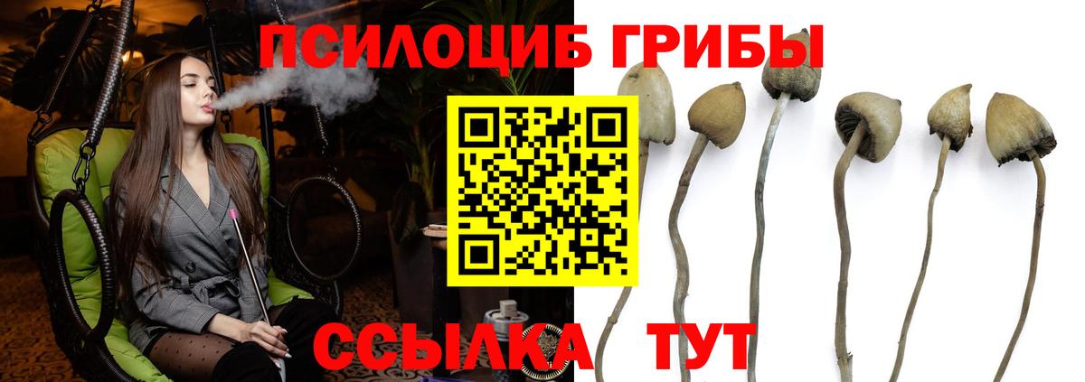 Галлюциногенные грибы ЛСД Юрга